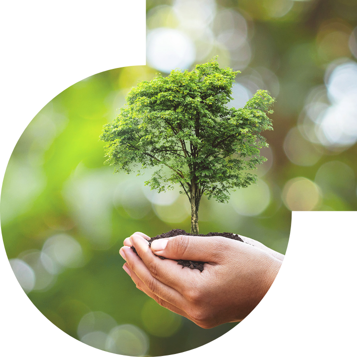 关怀人类、文化、环境与社会